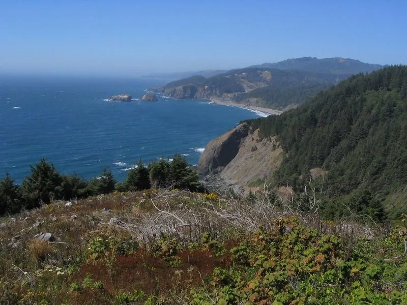 Samuel H. Boardman State Scenic Corridor