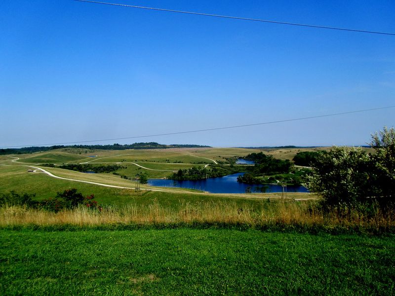 The Wilds