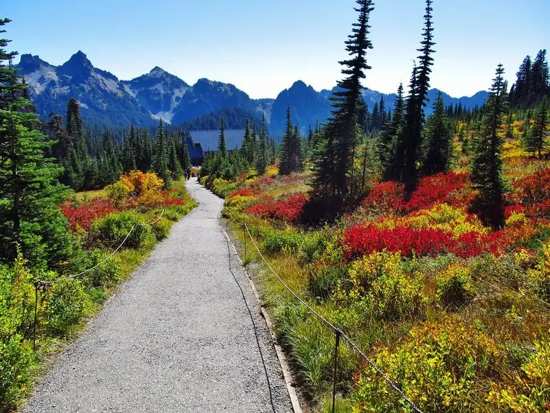 Skyline Trail, Mount Rainier, Washington