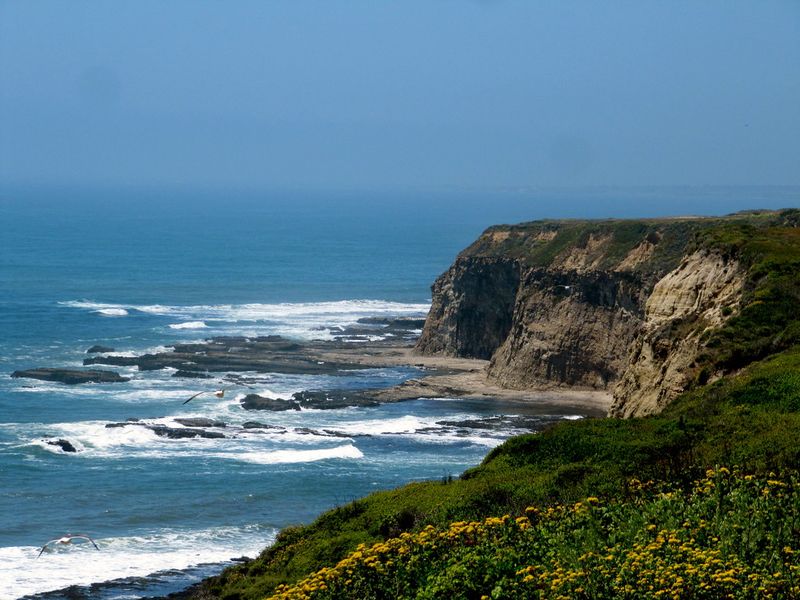 Santa Cruz to Half Moon Bay
