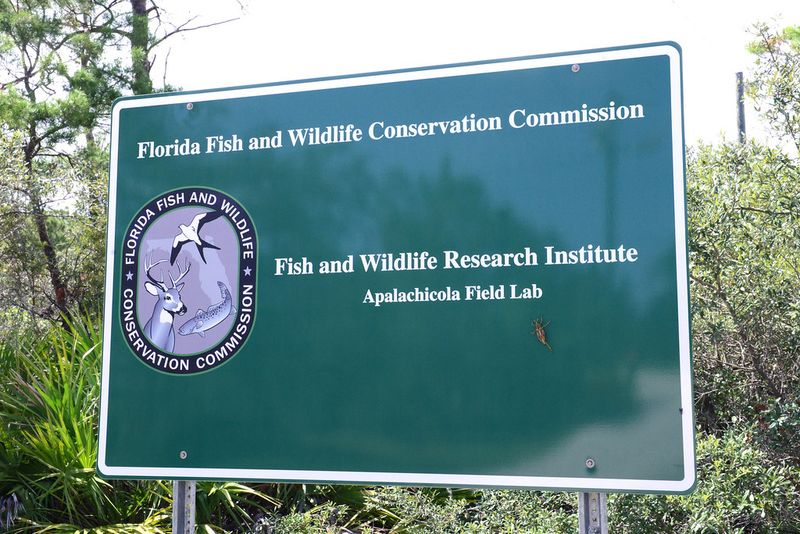 Apalachicola National Estuarine Research Reserve