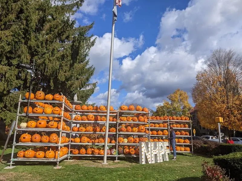 Laconia Pumpkin Festival