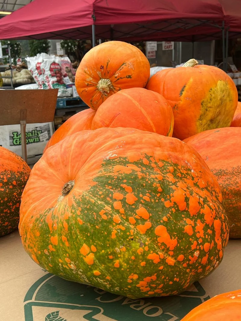 Attending the CNY Great Pumpkin Festival