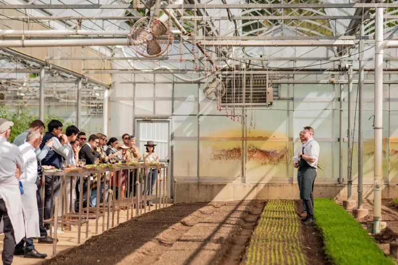 Farm-to-table harvest dinners at Stone Barns Center, New York