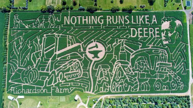 Corn maze exploration at Richardson’s Farm, New Jersey