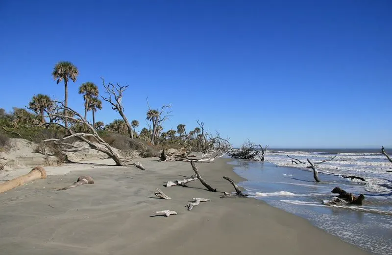 Bulls Island