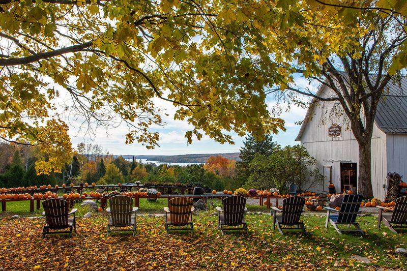 Petoskey, Michigan – Fall Festival & Apple Celebration
