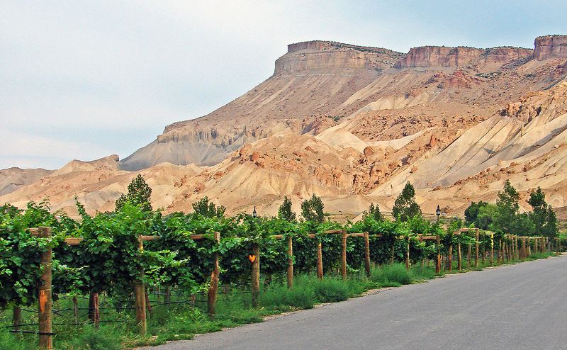 Palisade, Colorado