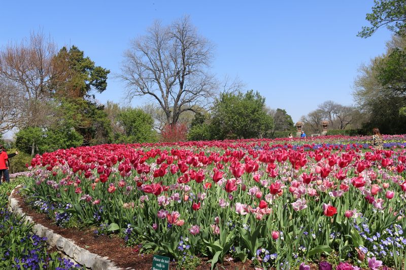 Dallas Arboretum and Botanical Garden