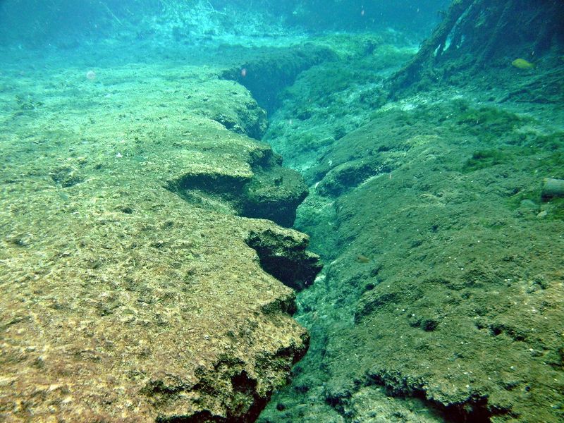 Discover Natural Springs in Ginnie Springs