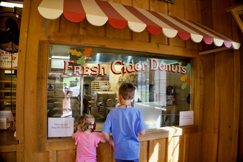 Touring Local Breweries and Cideries