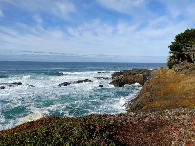 Mendocino Coastline