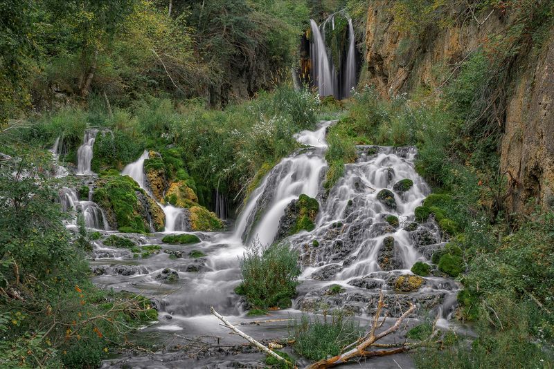 Spearfish Canyon trout spotting