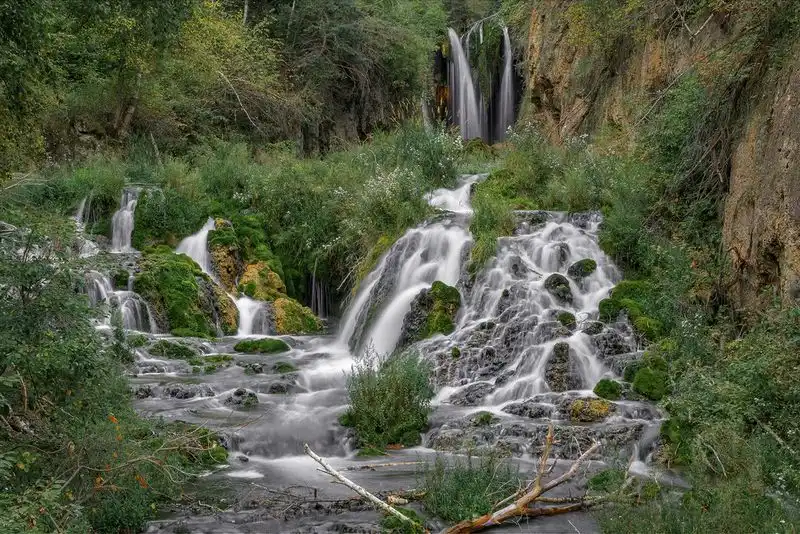 Spearfish Canyon trout spotting