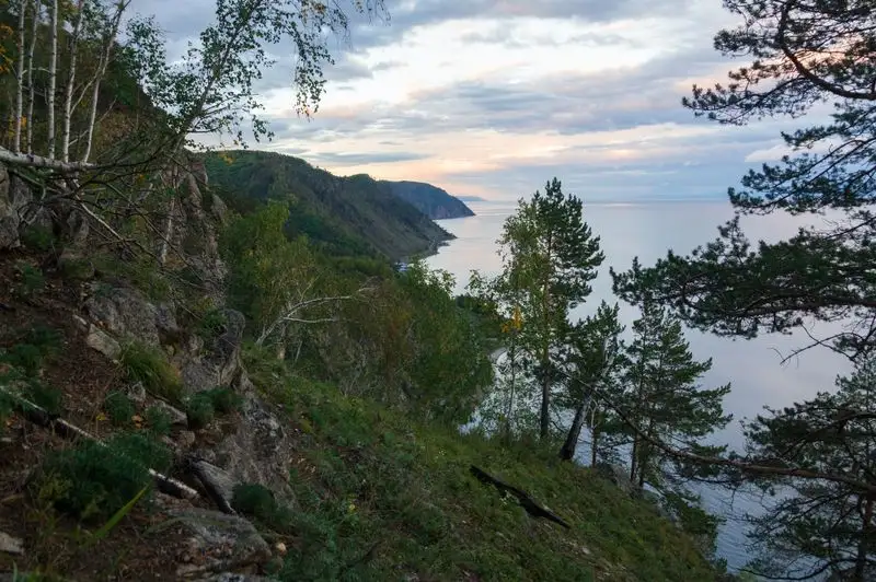 Siberian Taiga, Russia