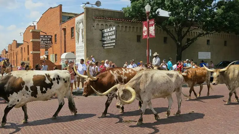 Fort Worth Stockyards