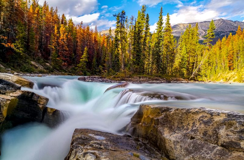 Jasper National Park, Alberta, Canada