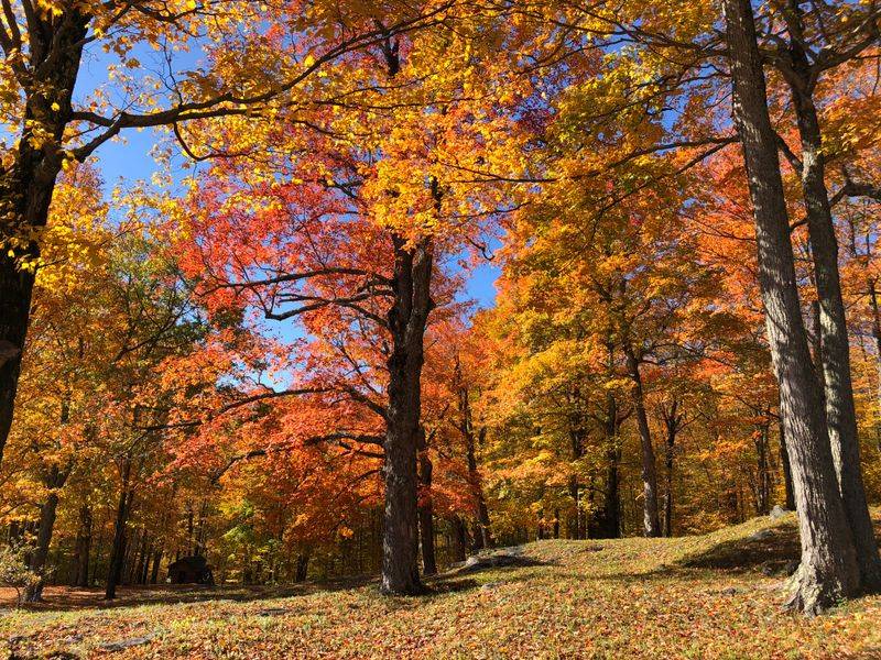 Manchester, Vermont