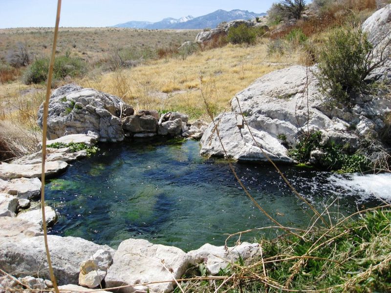 Gandy Warm Springs – near Great Basin National Park