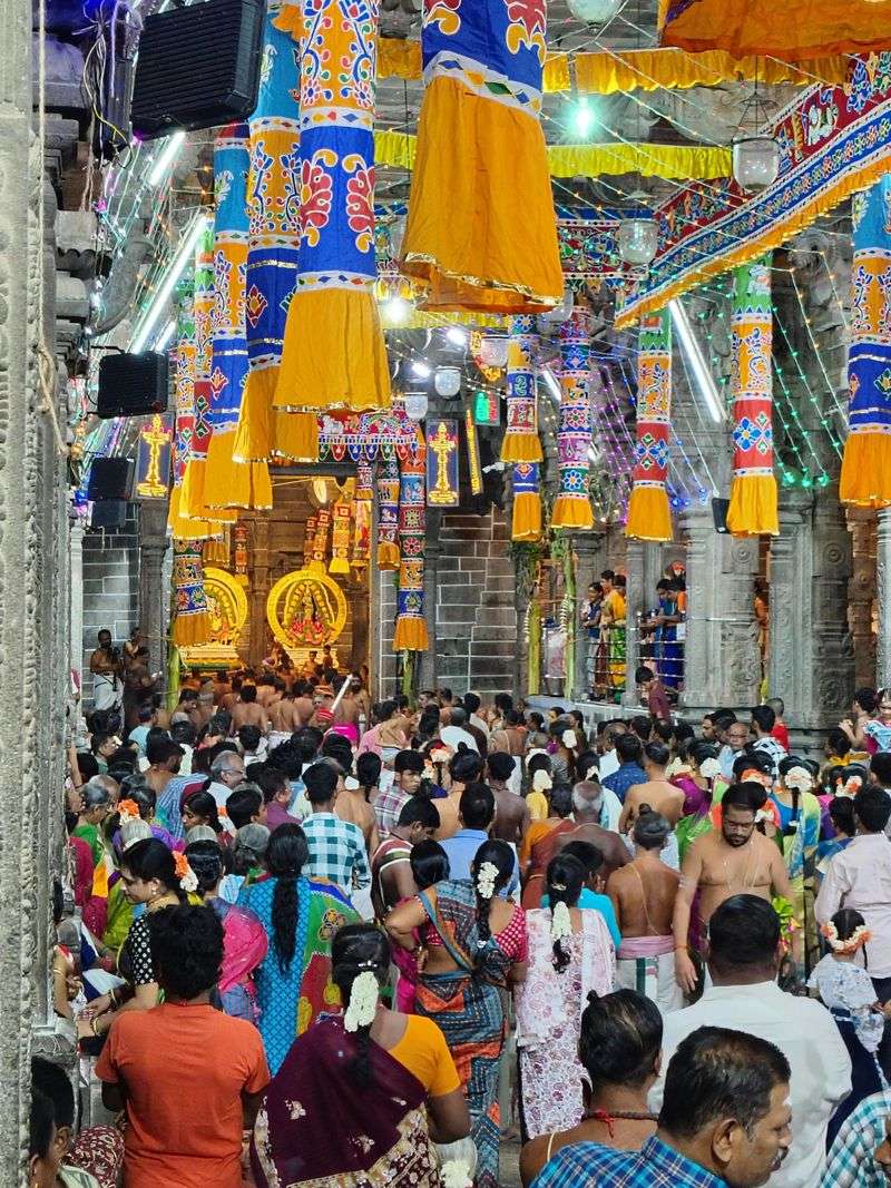 India – Temple Protocols and Festive Rituals