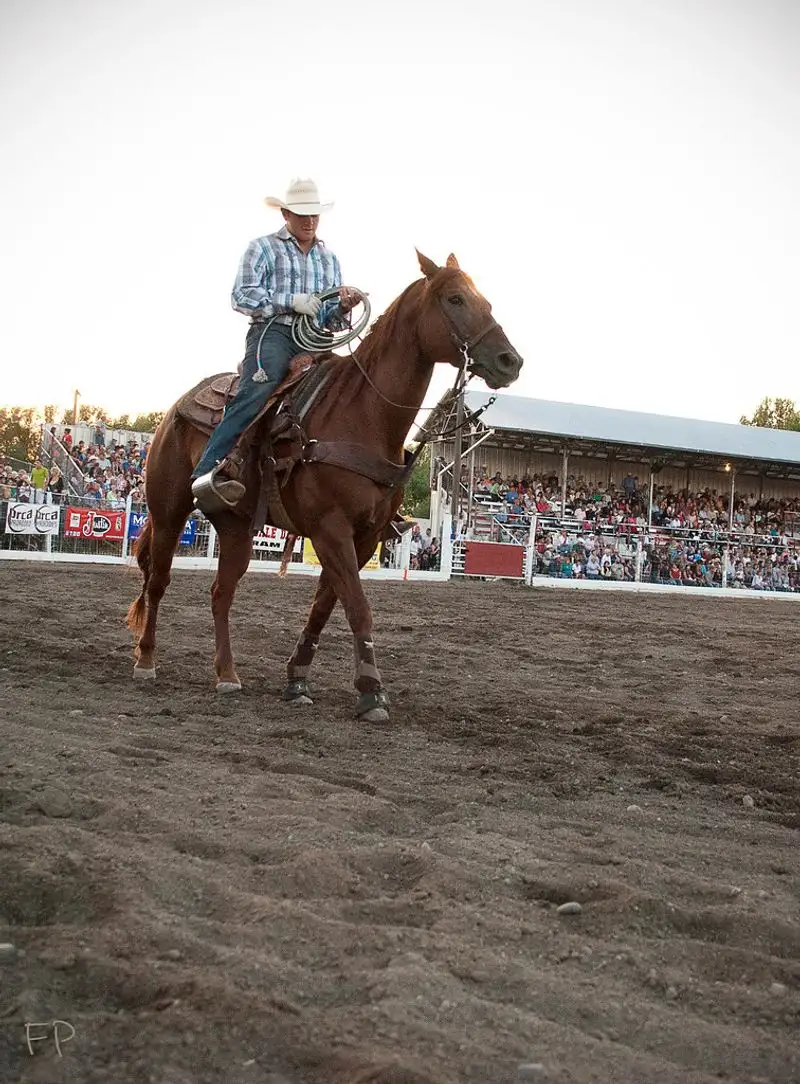 Livingston Roundup