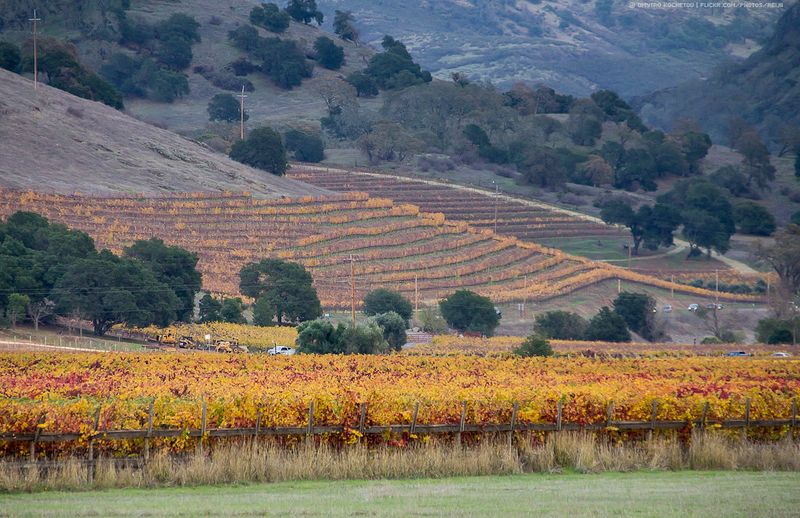 Napa Valley