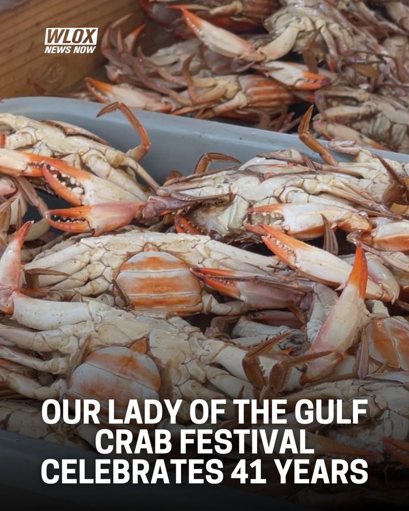 Our Lady of the Gulf Crab Fest