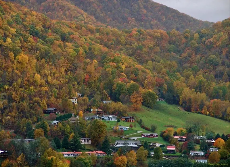 Western NC BBQ Festival