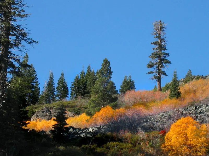 Lake Tahoe, California