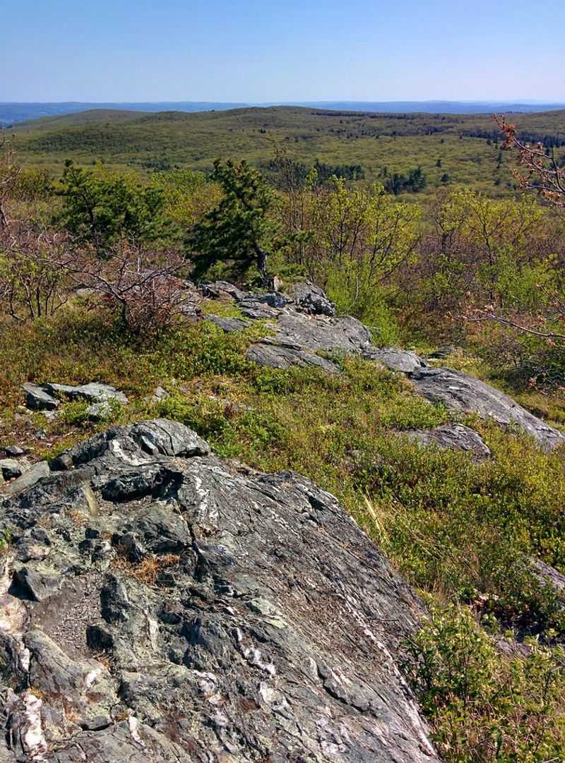 Bear Mountain