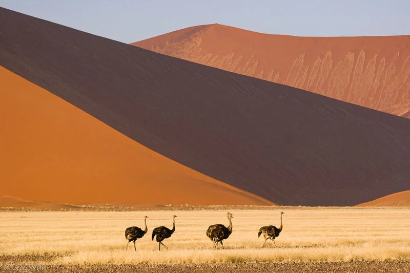 Namibia