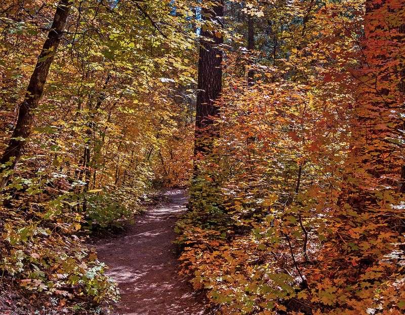 West Fork Trail