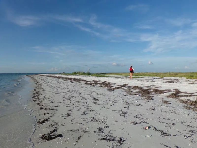 Anclote Key Preserve State Park