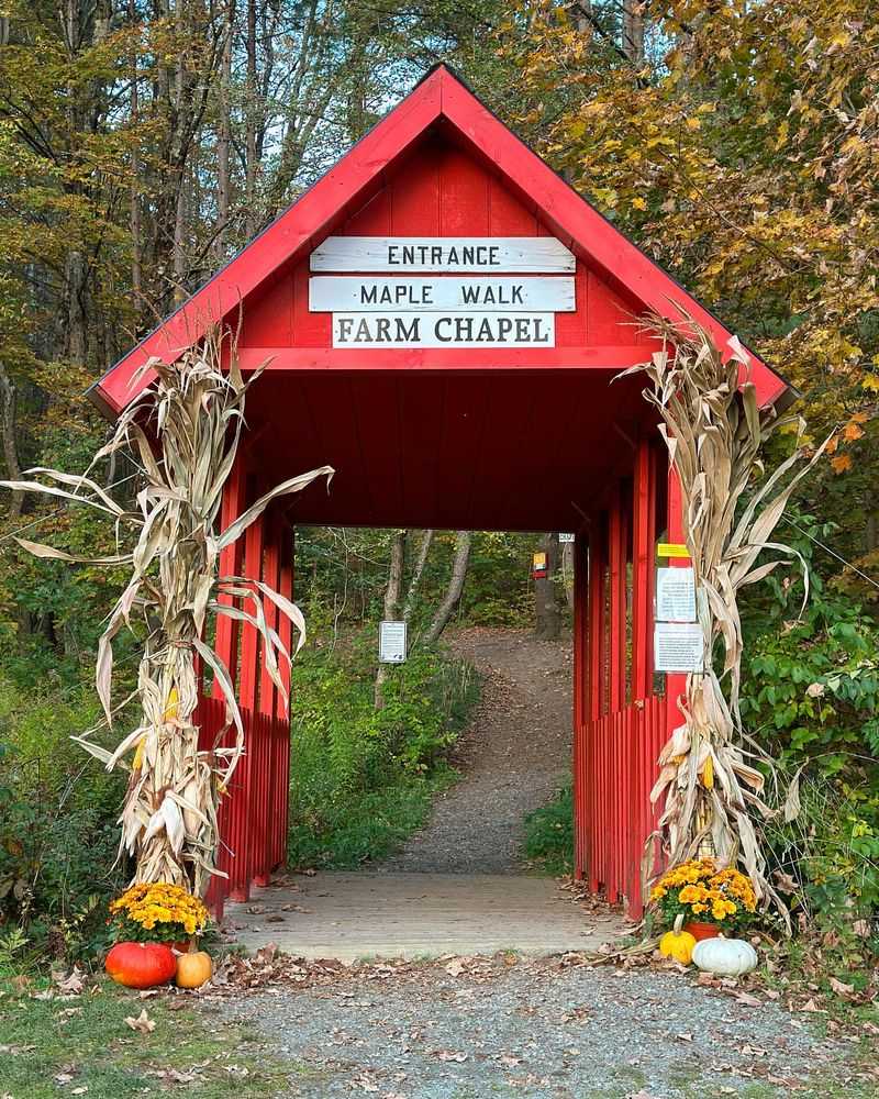 Sugarbush Farm