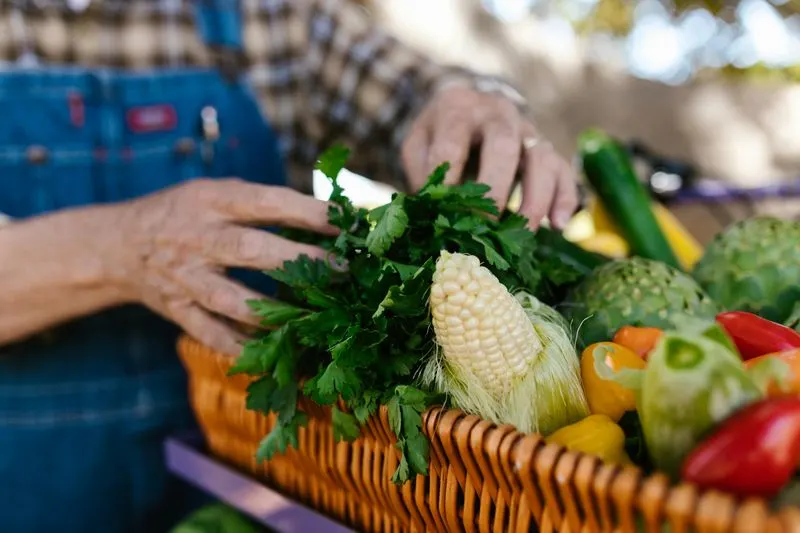 Casey Farm / Coastal Growers’ Market, Rhode Island