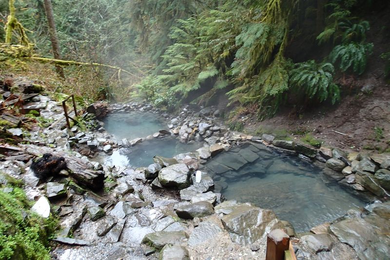 Cougar Hot Springs