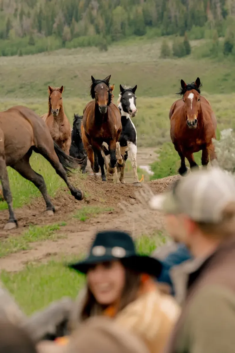 Goosewing Ranch