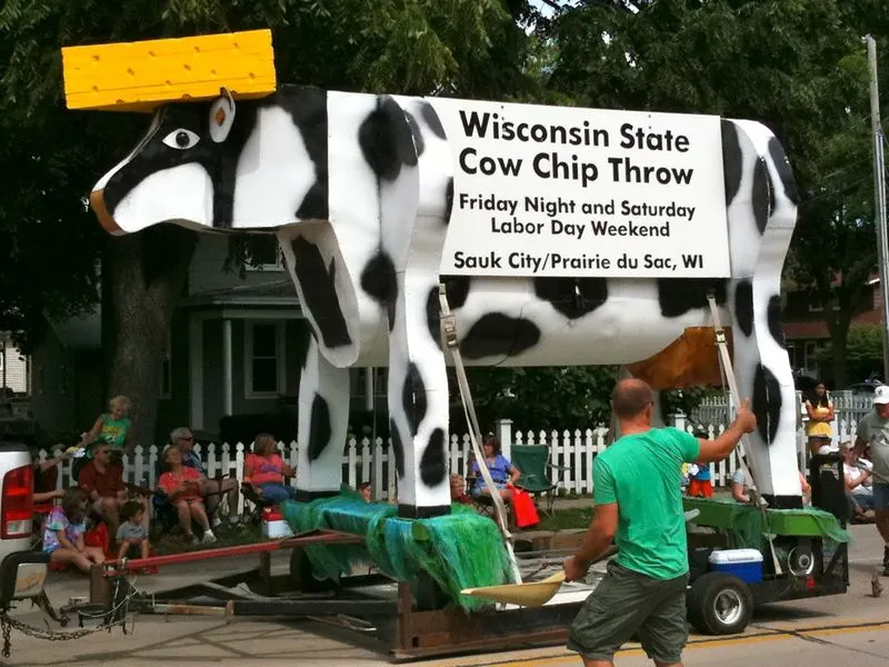 Wisconsin Cow Chip Throw