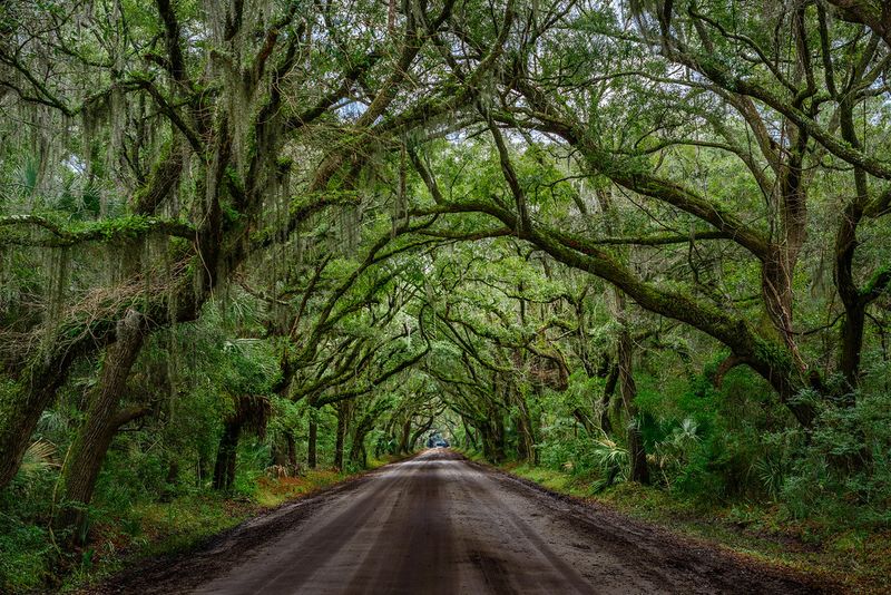 Edisto Island