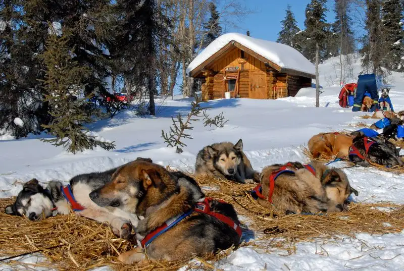 Iditarod National Historic Trail