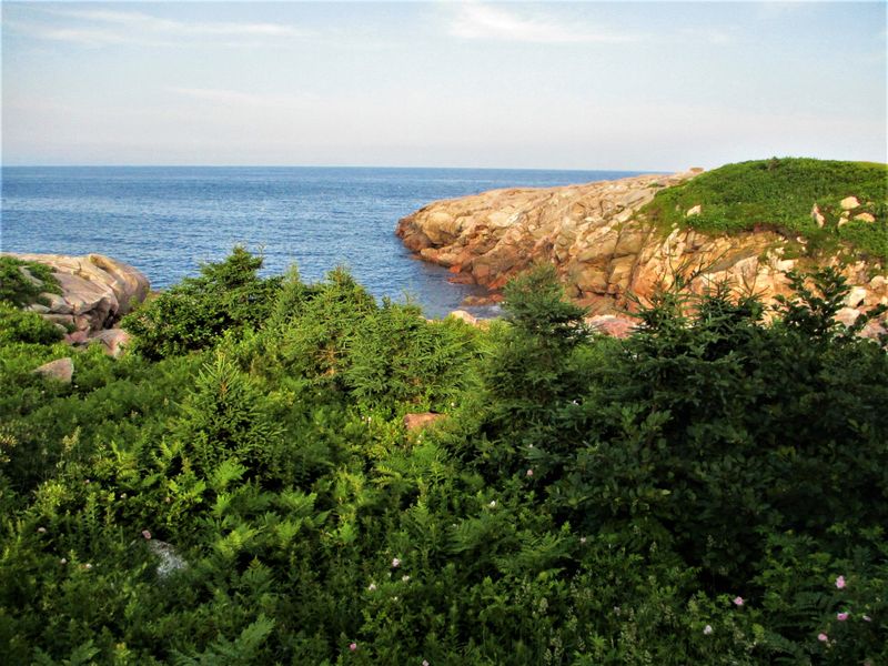 Cape Breton Highlands, Nova Scotia, Canada