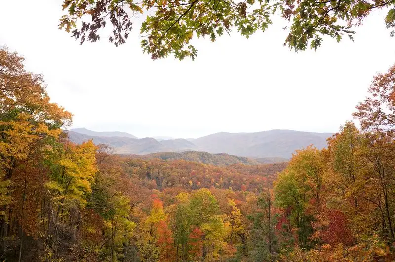 Roaring Fork Motor Nature Trail