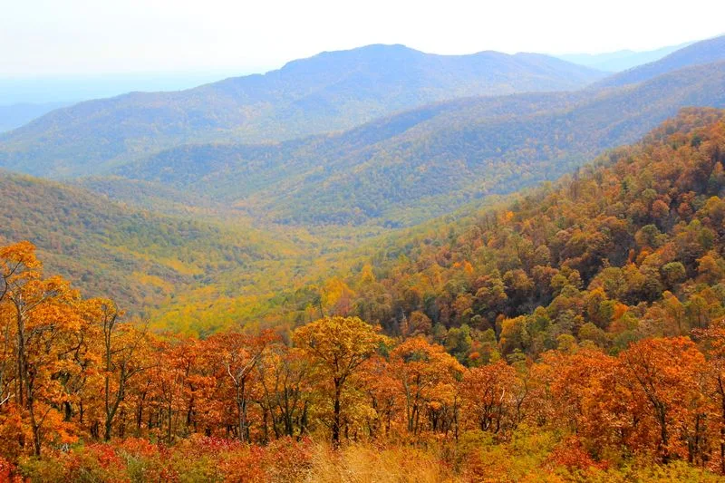 Shenandoah National Park, Virginia