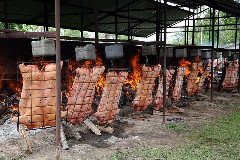 Cochon de Lait Festival