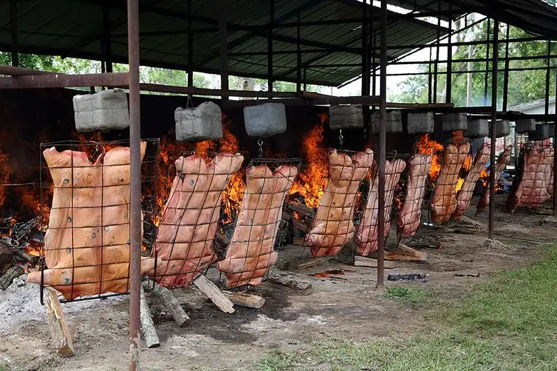 Cochon de Lait Festival