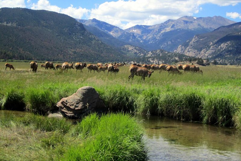Colorado — Rocky Mountain National Park