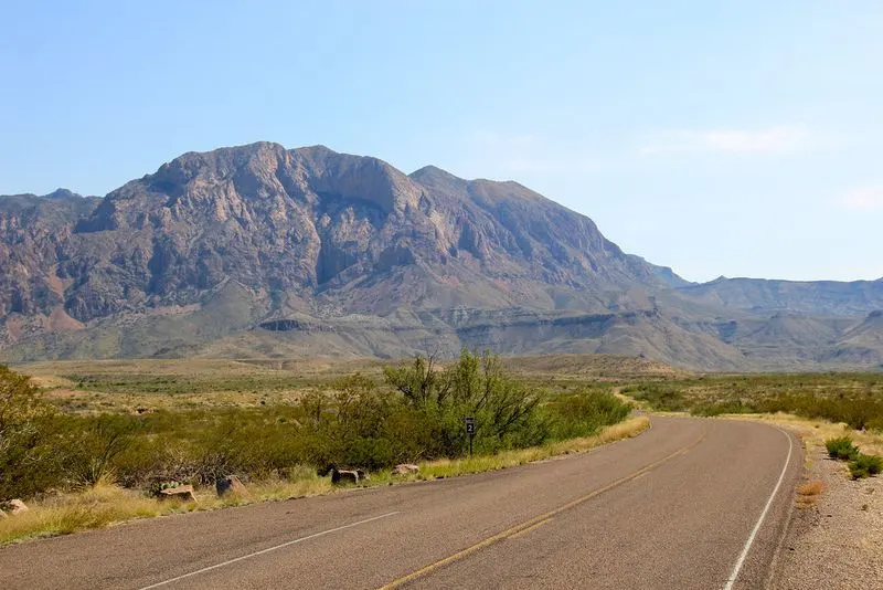 Driving the Ross Maxwell Scenic Drive