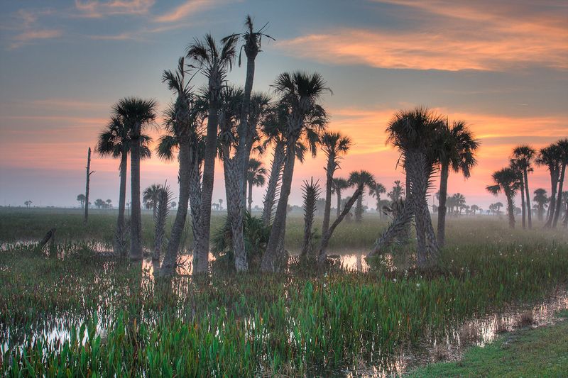 Viera Wetlands