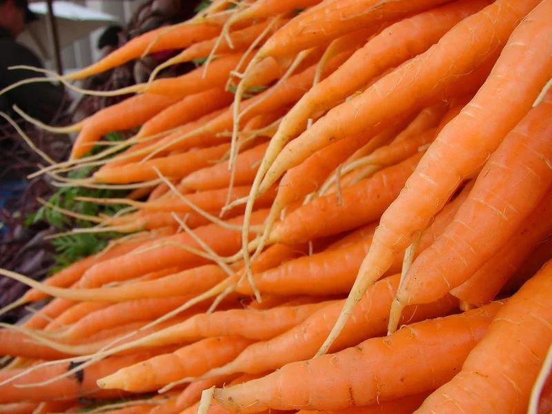 Harvest Markets and Local Makers