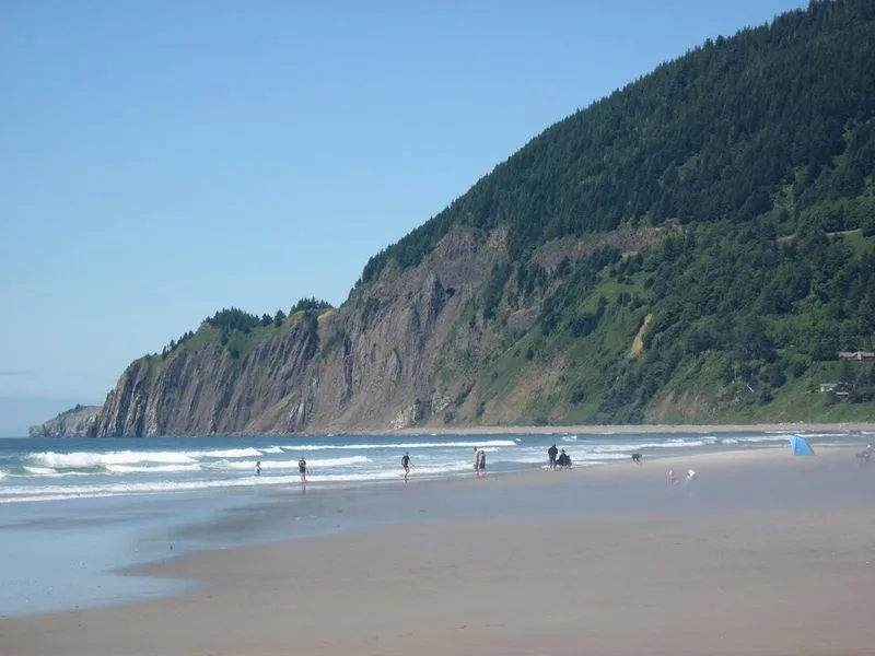 Manzanita